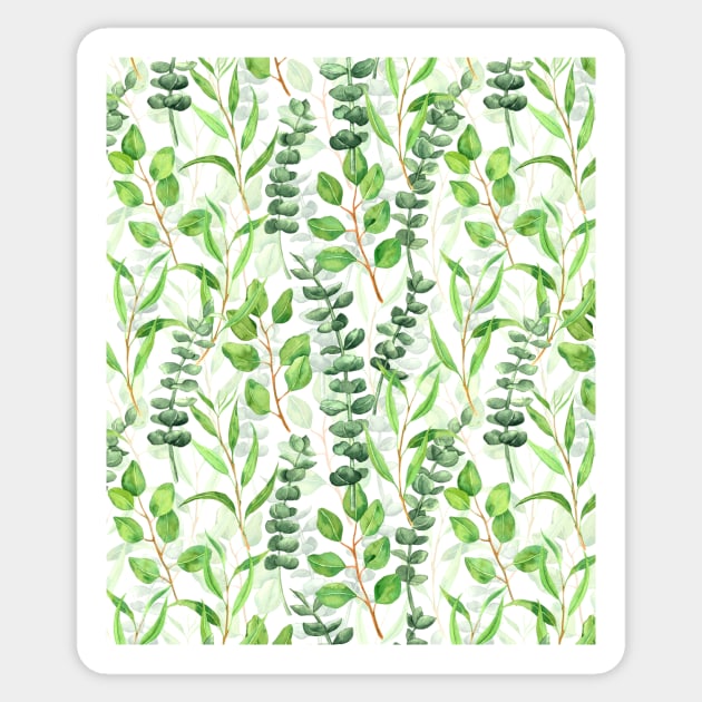 Eucalyptus Sticker by katerinamk